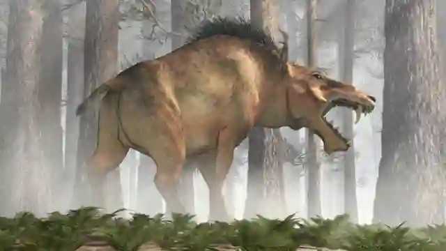 Posjos.com - Hewan Babi Purba. Babi Purba. Inilah Binatang Babi Prasejarah Hewan Purba Babi Prasejarah. Binatang Purba Babi Dari Neraka