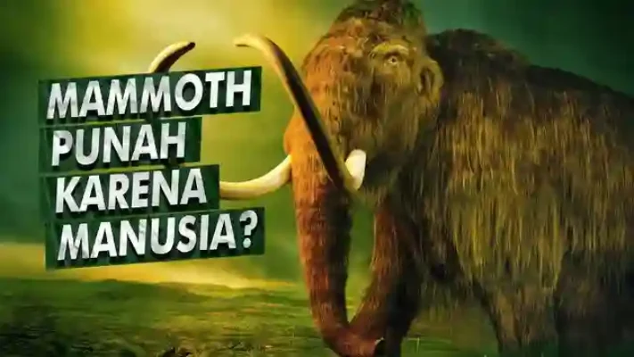 Gajah Purba Mammoth: Pernah Hidup Berdampingan Dengan Manusia