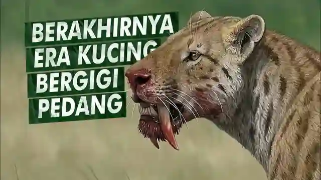 Posjos.com - Harimau Purba Hewan Prasejarah Harimau Purba Sabertooth: Predator Purba Harimau Bergigi Pedang