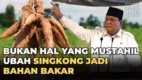 posjos.com — Pengembangan Bio-fuel singkong dan tebu jadi sumbernya. tebu dan singkong jadi Bio-fuel penganti BBM