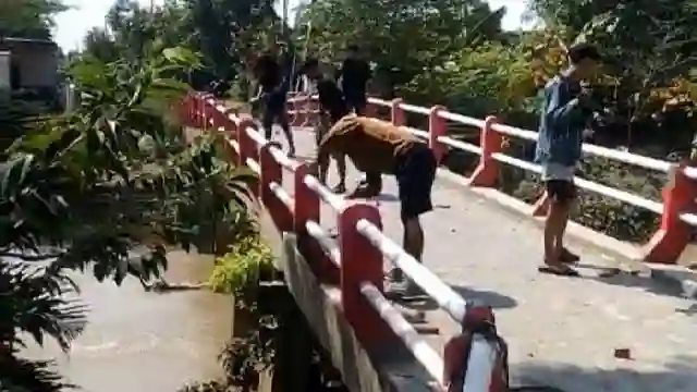 posjos.com — Viral Warga Demak Rusak Pagar Jembatan Demi Truk Pawai Bisa Lewat. Warga Demak Rusak Jembatan Demi Truk Pawai