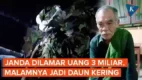 posjos.com — Janda Dilamar Mahar Uang Rp3 Miliar Malamnya Jadi Daun Kering. Janda Dilamar Sekoper Uang Jadi Daun Kering