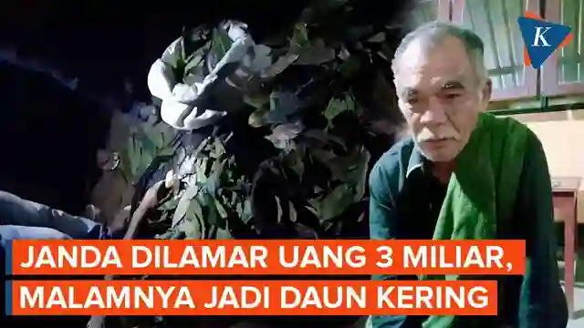 posjos.com — Janda Dilamar Mahar Uang Rp3 Miliar Malamnya Jadi Daun Kering. Janda Dilamar Sekoper Uang Jadi Daun Kering