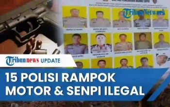 posjos.com — Polisi Jadi Komplotan Maling Motor. Polisi Maling Motor. 15 Polisi Jadi Komplotan Maling Motor.